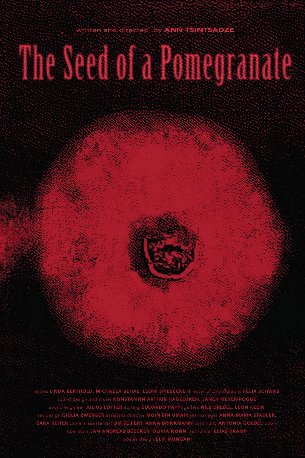 The Seed of a Pomegranate film poster